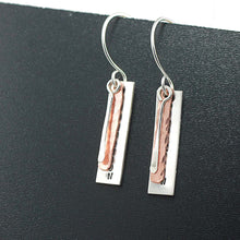 Load image into Gallery viewer, Fu@k Perfection Rectangle Earrings
